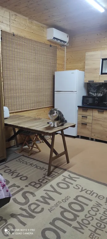 Квартира Комната — Голубицкая