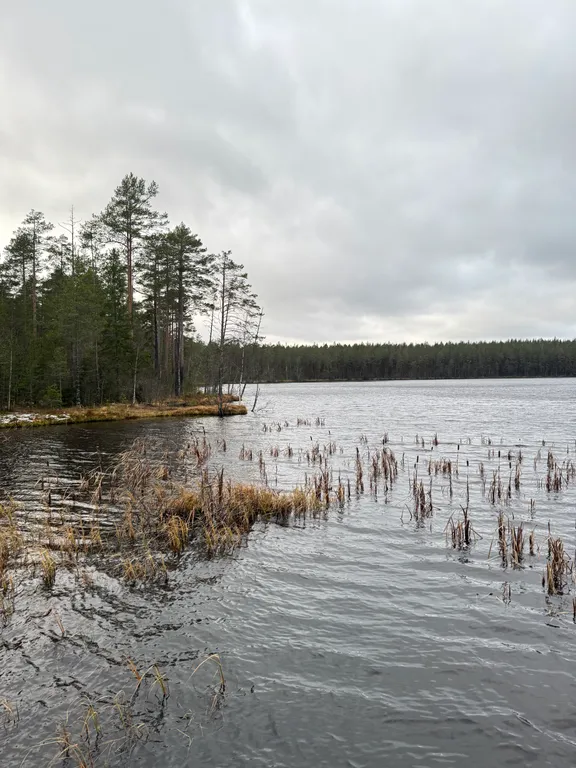 Дом в лесу рядом с озером