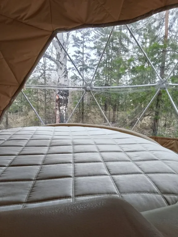 Гео купол в лесу на берегу озера Увильды