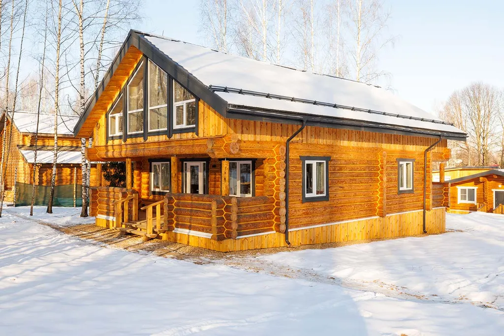 Дом в березовой чаще. Усадьба скульптора Эрьзи