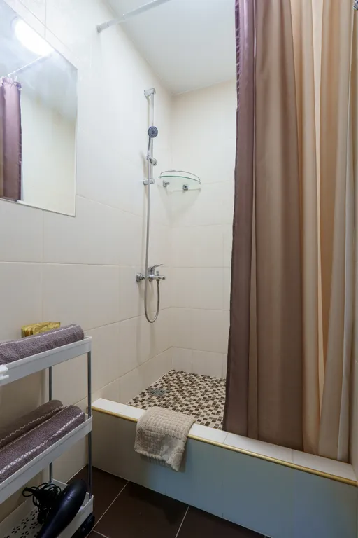 Квартира в купеческом доме в центре города