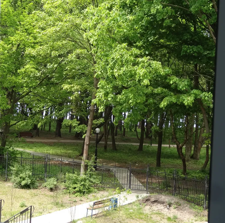 Квартира Квартира Апартамент в парке у моря — Пионерский