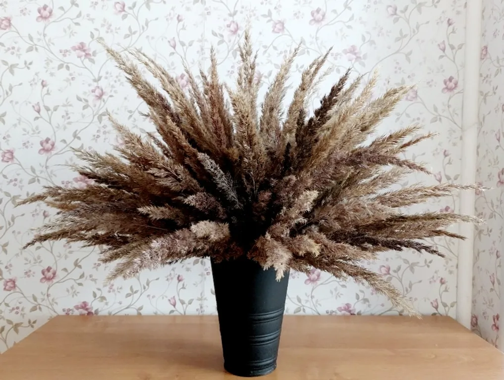 Апартаменты в самом сердце Средневековья