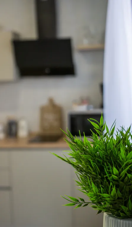 Новые уютные апартаменты в новом доме и новом районе