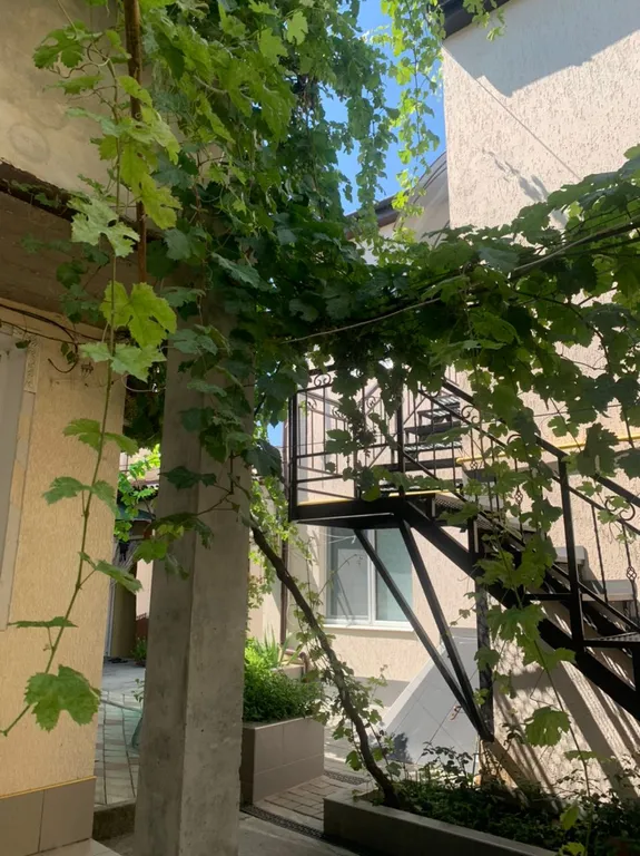 Коттедж Уютный коттедж в самом центре — Евпатория