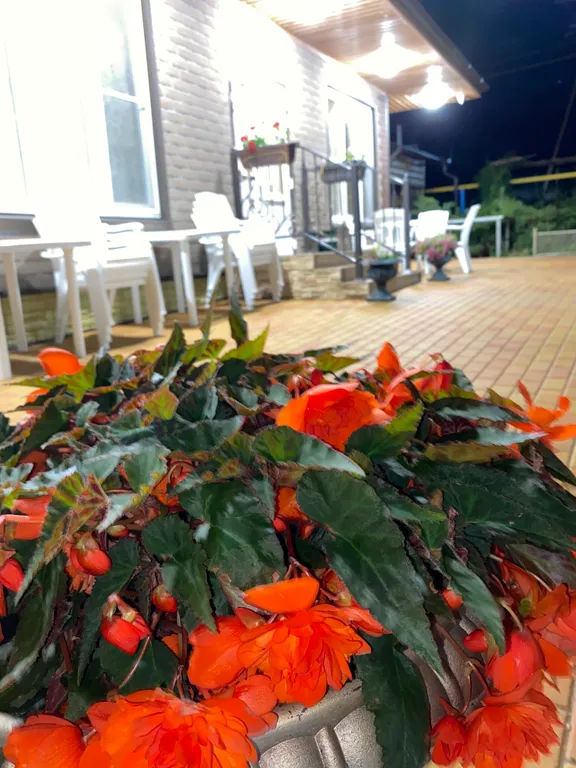 Бассейн в домике шале с сауной и мангалом