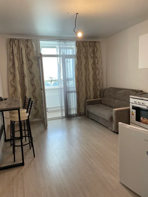 Студия жк анкудиновский парк