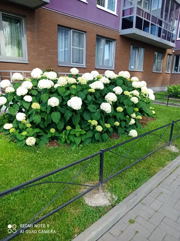 Уютная квартира у метро