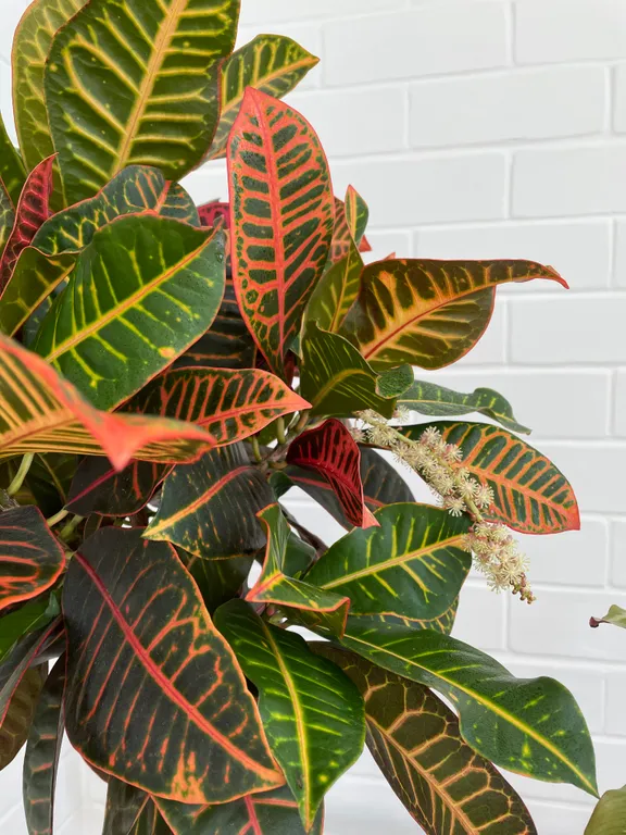 Квартира в центре с видом на Волгу