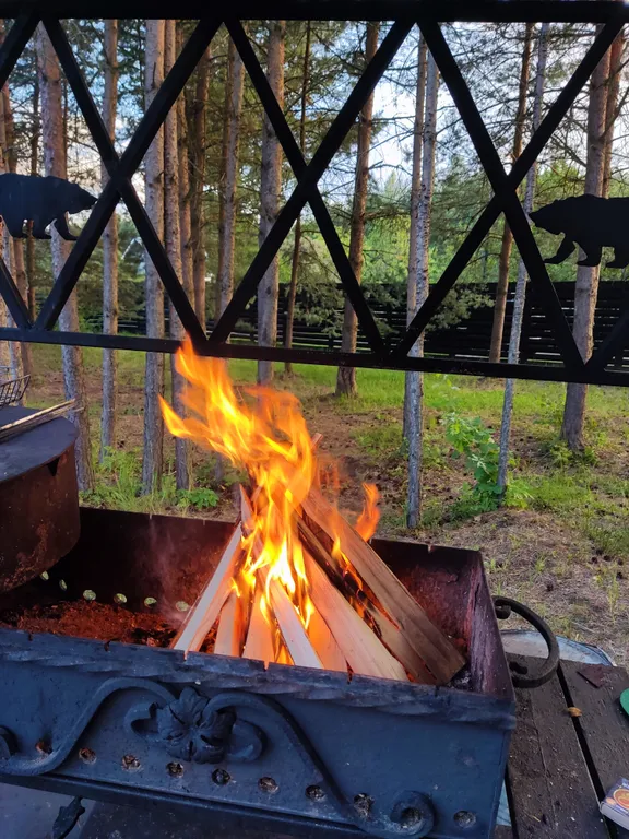 Дом с камином76