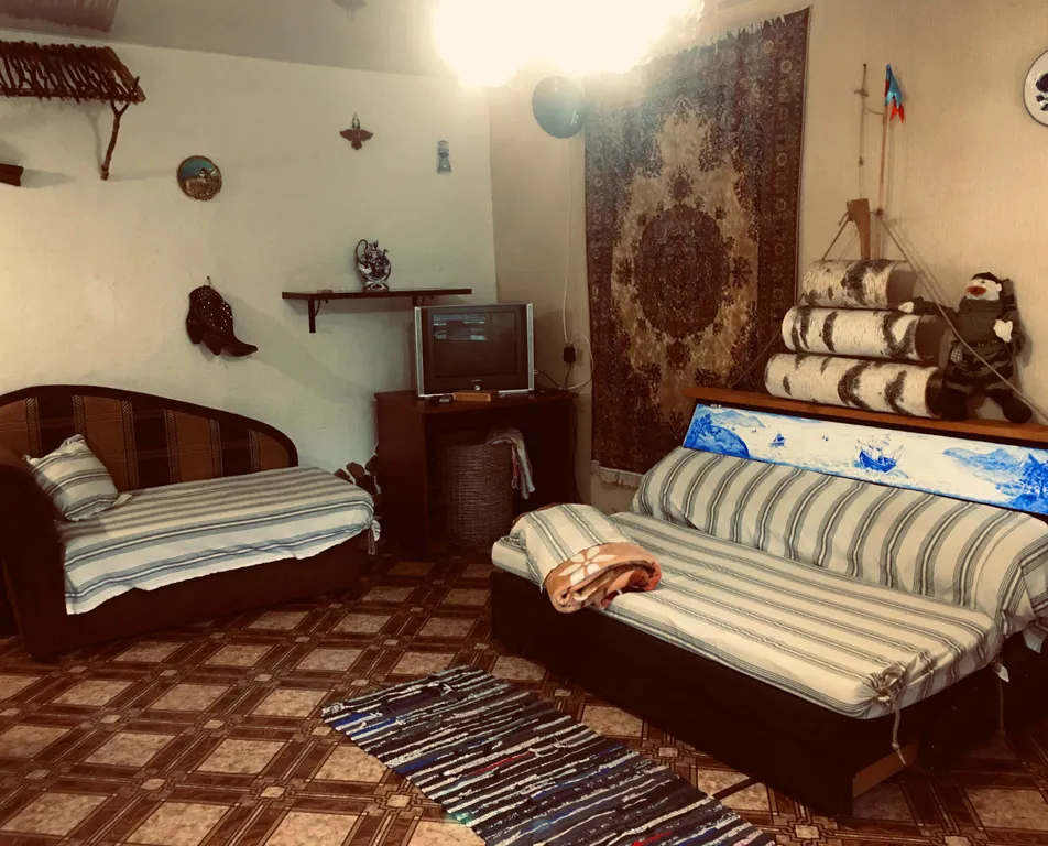 1-комнатная Квартира — аренда посуточно в Петропавловск-Камчатский