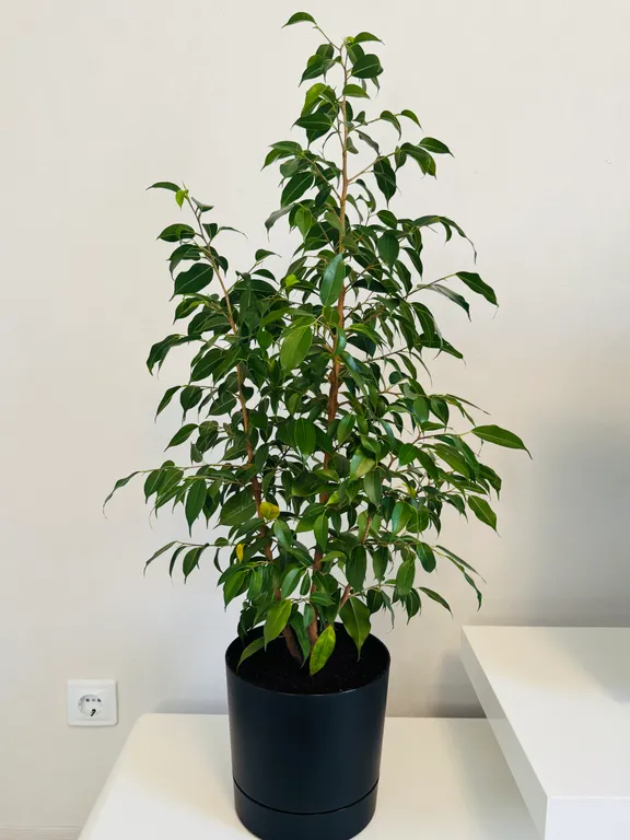 Уютная квартира в современном районе