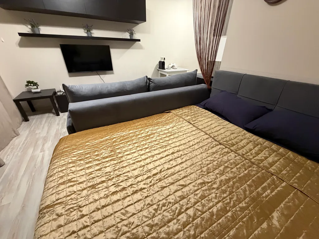 Cовременная студия с бecкoнтaктным заездом