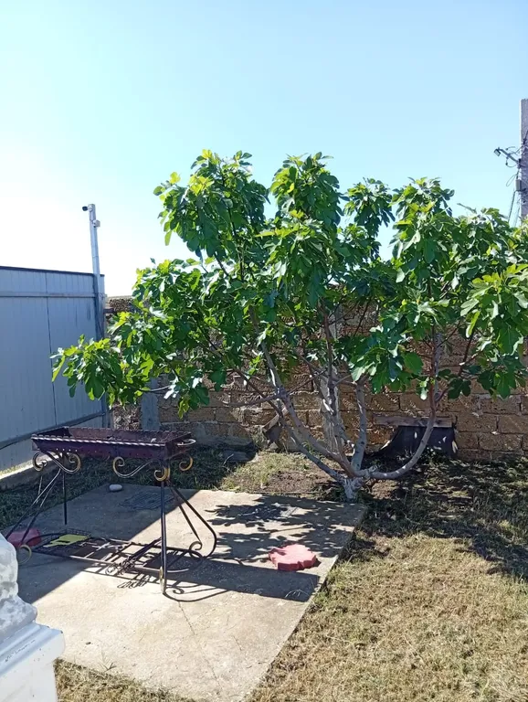 Уютный дом у моря