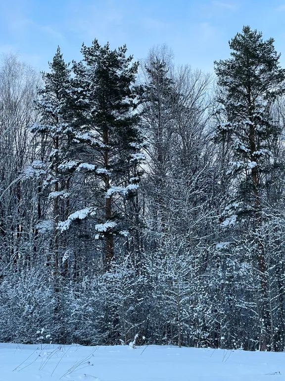 Коттедж Уединенный дом с баней рядом с лесом под Коломной — Михеево