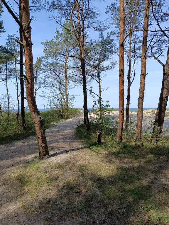 Коттедж Домик у самого моря — Зеленоградск