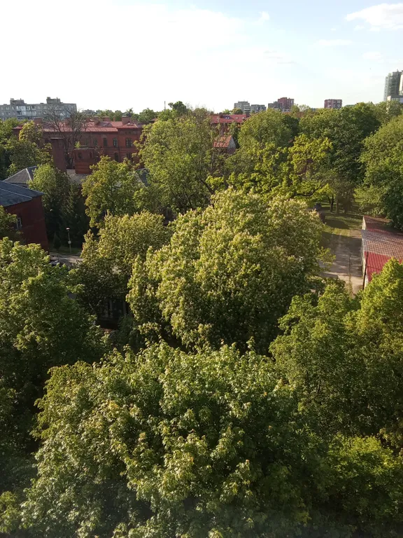 Апартаменты Этника в центре города