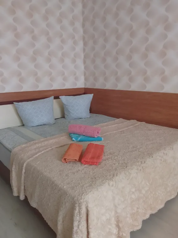 Квартира на сутки, автовокзал, мегагринн