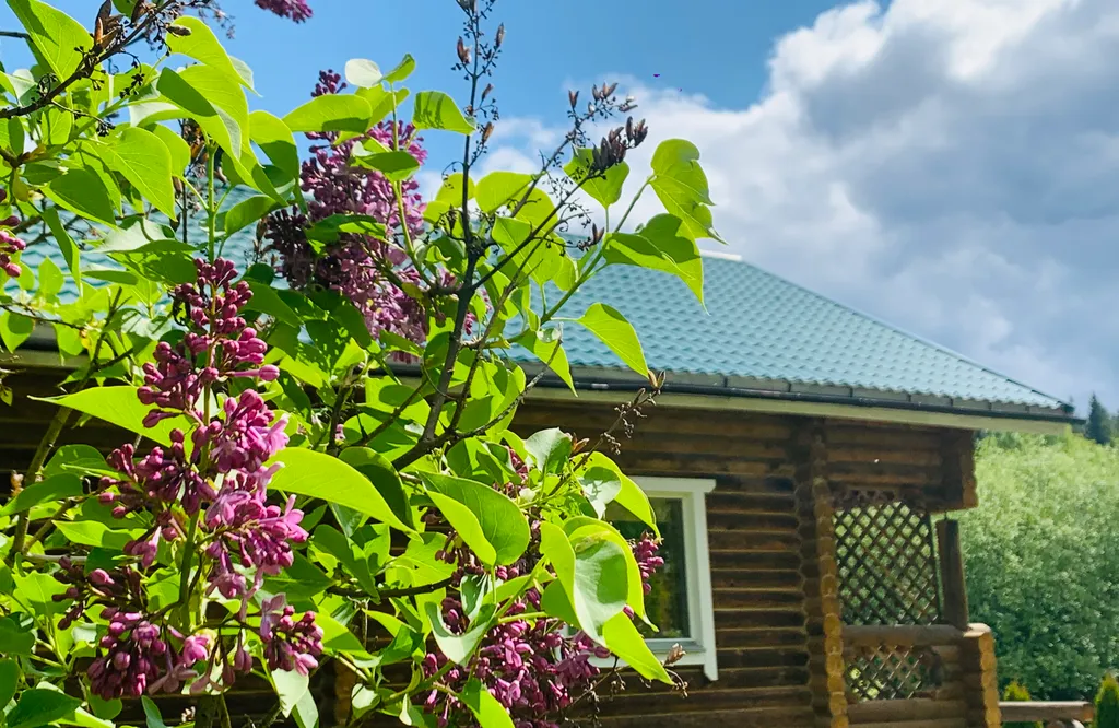 Коттедж в Карелии с сауной между Сортавала и Рускеала