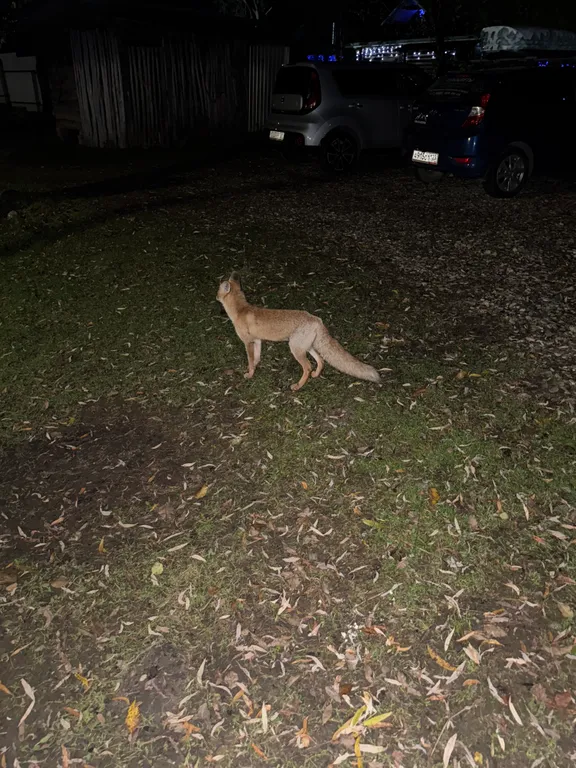 Квартира Жилая комната в деревянном домике четырёхместная — Апшеронск