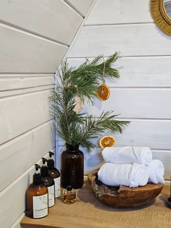 Красивые панорамные домики около леса