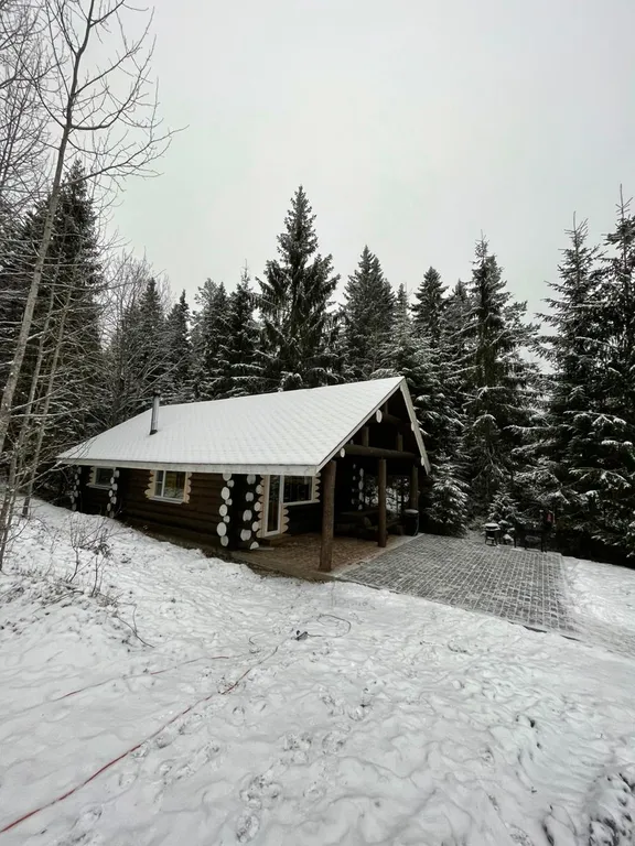 Karelia Log House “Дом с камином”  с панорамным видом на лес