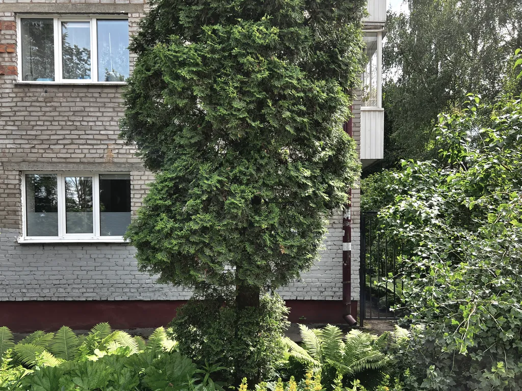 Стильная студия в самом центре с удобным расположением