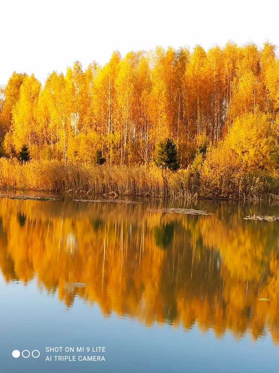 Дом на берегу сказочного озера