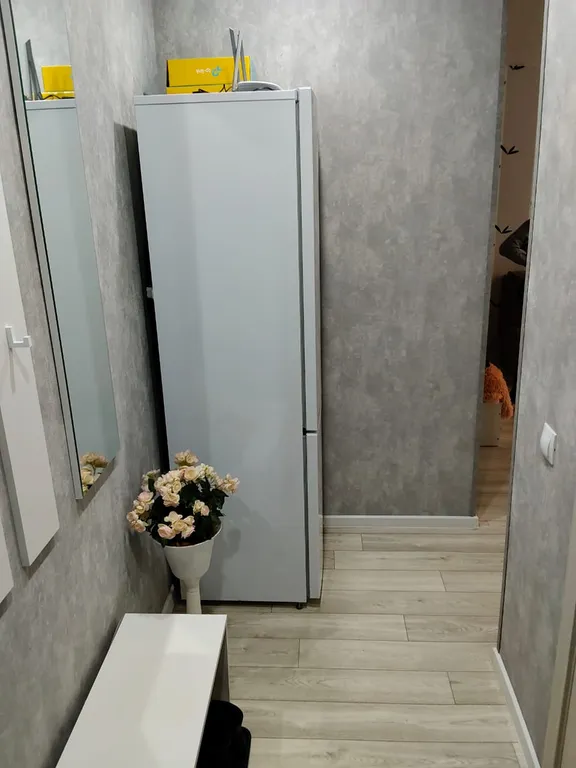 Уютная однокомнатная квартира