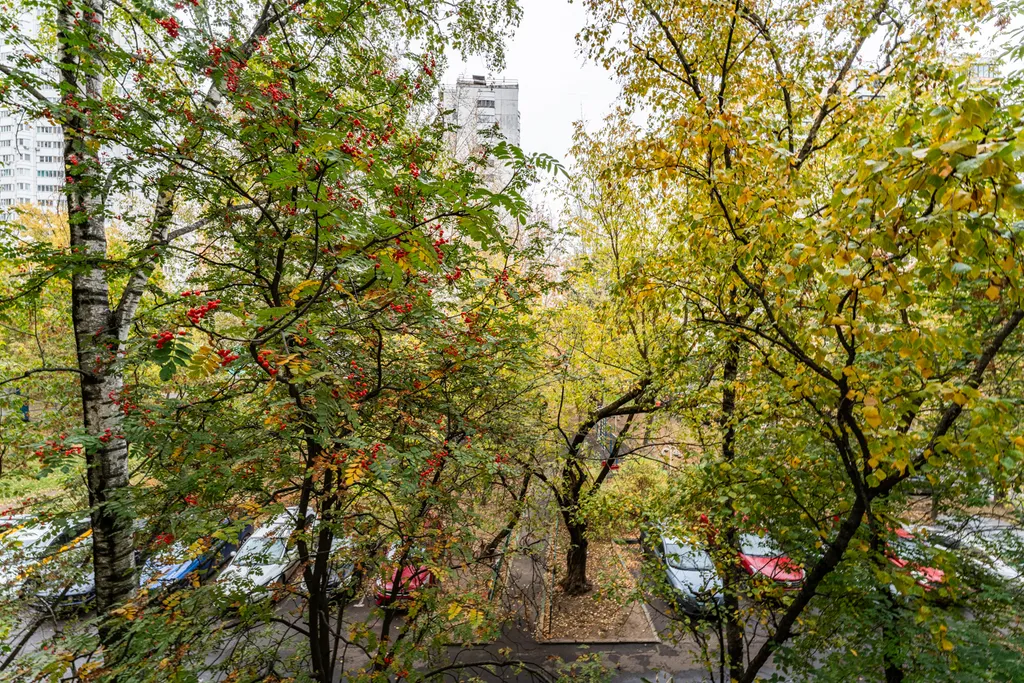 Квартира Квартира двухкомнатная у метро Кузьминки — Москва