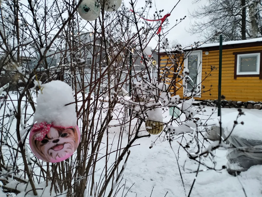 Коттедж Часть дома\мини-студия рядом с пляжем в частном секторе у Лахта-центра — Санкт-Петербург