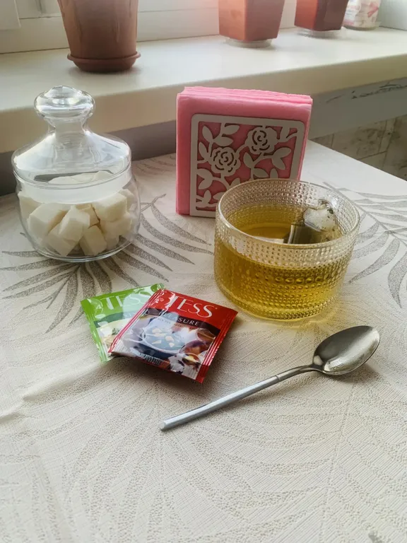 С питомцами, можно!