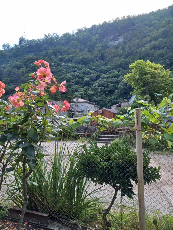 Коттедж Эко домик с парковкой рядом с горной рекой — Гагра