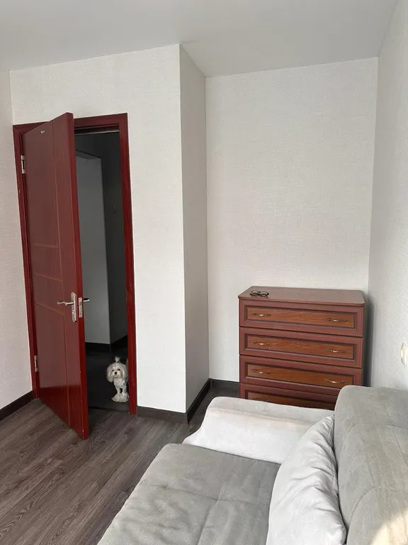 Комфортная квартира на берегу моря