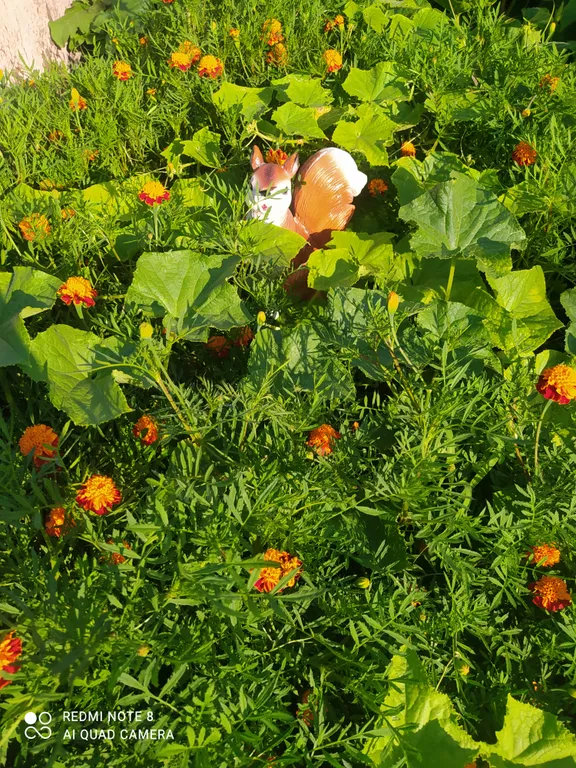 Уютная квартира рядом с монастырем, с отдельным входом  от соседей.