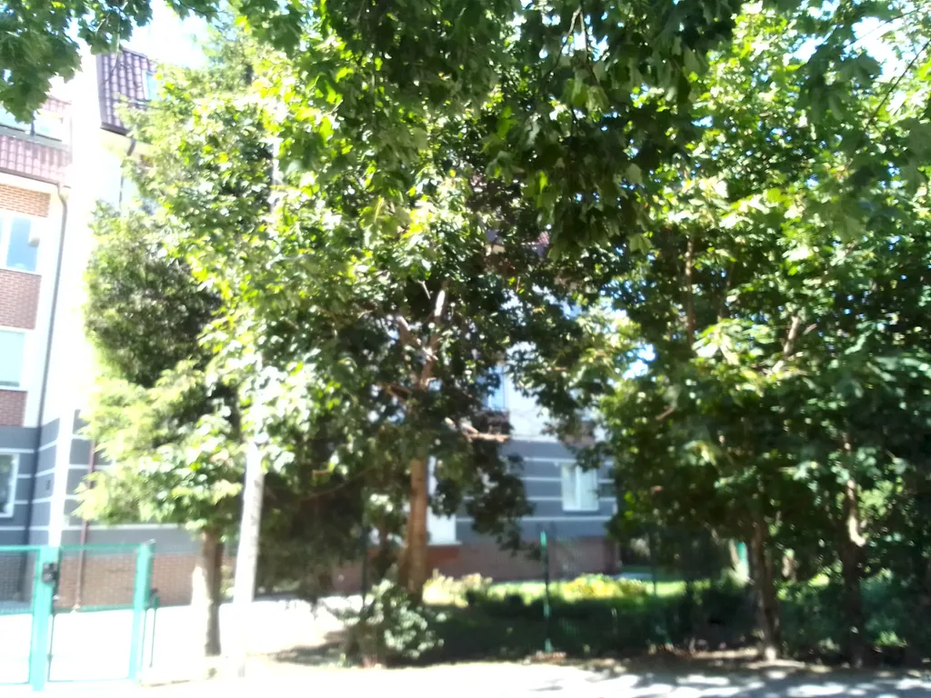 Квартира Квартира, море, центр города — Пионерский