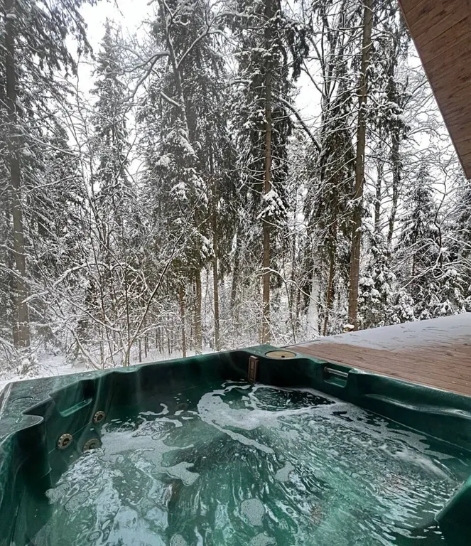 Коттедж Сказочный Шале с камином и джакузи в живописном лесу — Шадрино