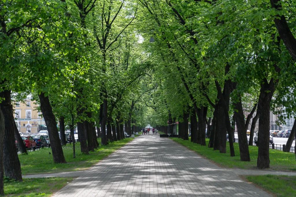 Квартира Квартира в самом центре красоты — Санкт-Петербург