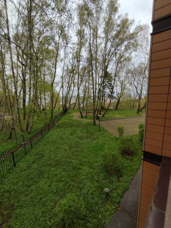 Студия на берегу Балтийского моря