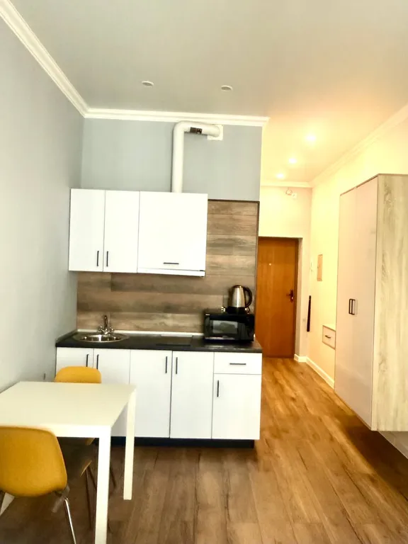 Уютная студия в центре города