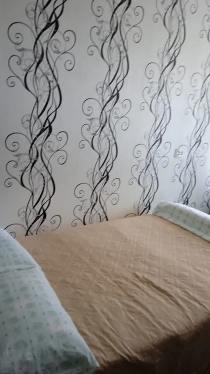 Очень хорошая комната небольшая, тем не менее всем можно пользоваться