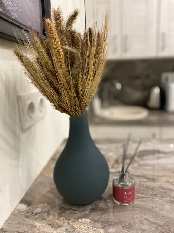 Окно в Париж