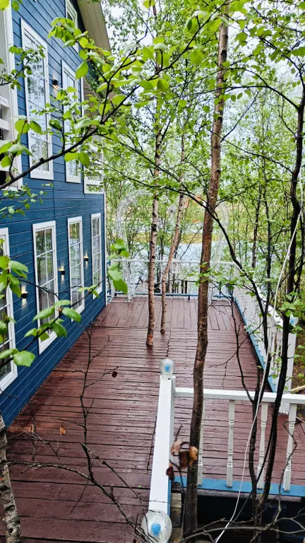 Дом у Светланы Алешиной