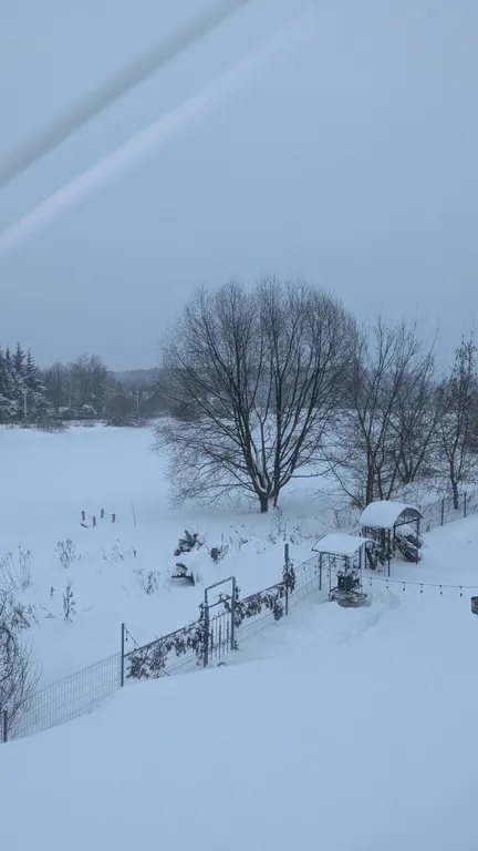Коттедж Гостевой дом у озера с чаном и баней, лес, рыбалка, квадроциклы, лыжи — Москва