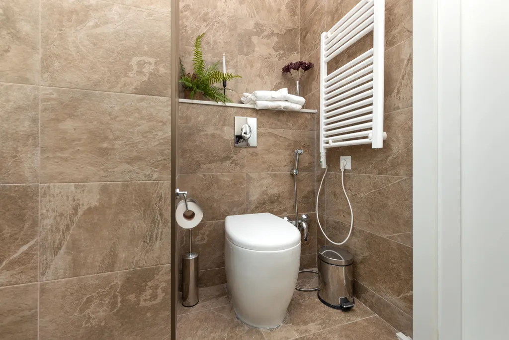 Fountain Vista Luxury Residence in Alliance Palace