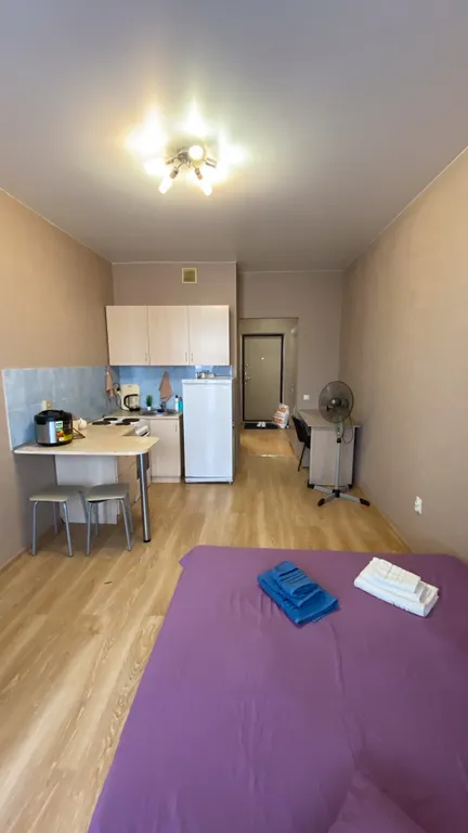 Квартира Квартира Уютная студия в 15 минутах от аэропорта — Шушары