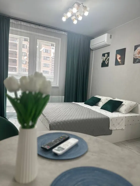 Квартира Квартира Уютная студия с видом на прогулочные аллеи — Краснодар