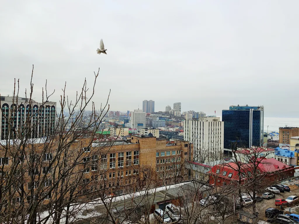 Квартира в центре города рядом с телецентром и медицинским центром — аренда посуточно в Владивосток