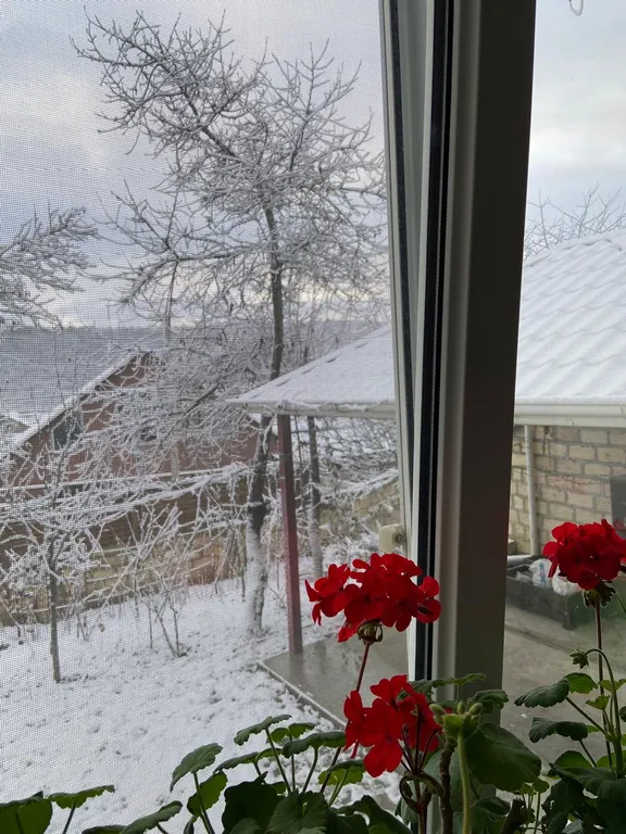 Guest house 119 с видом на горы, лес, двор