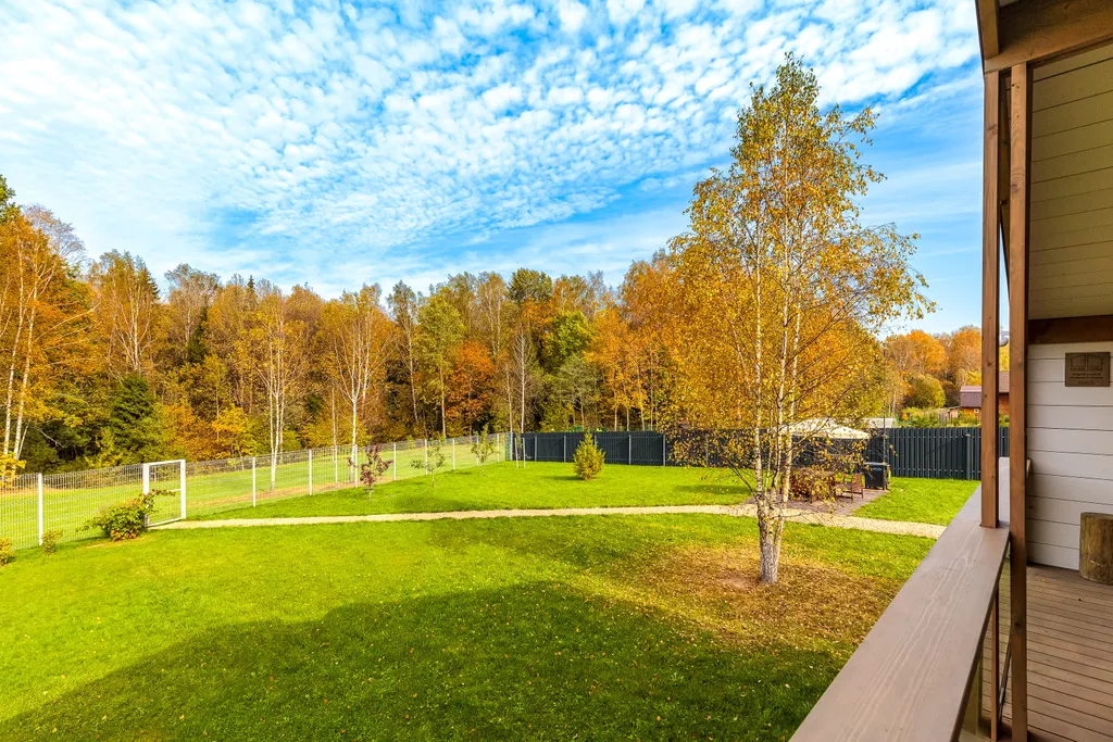 Оригинальный ДубльДом Каштан